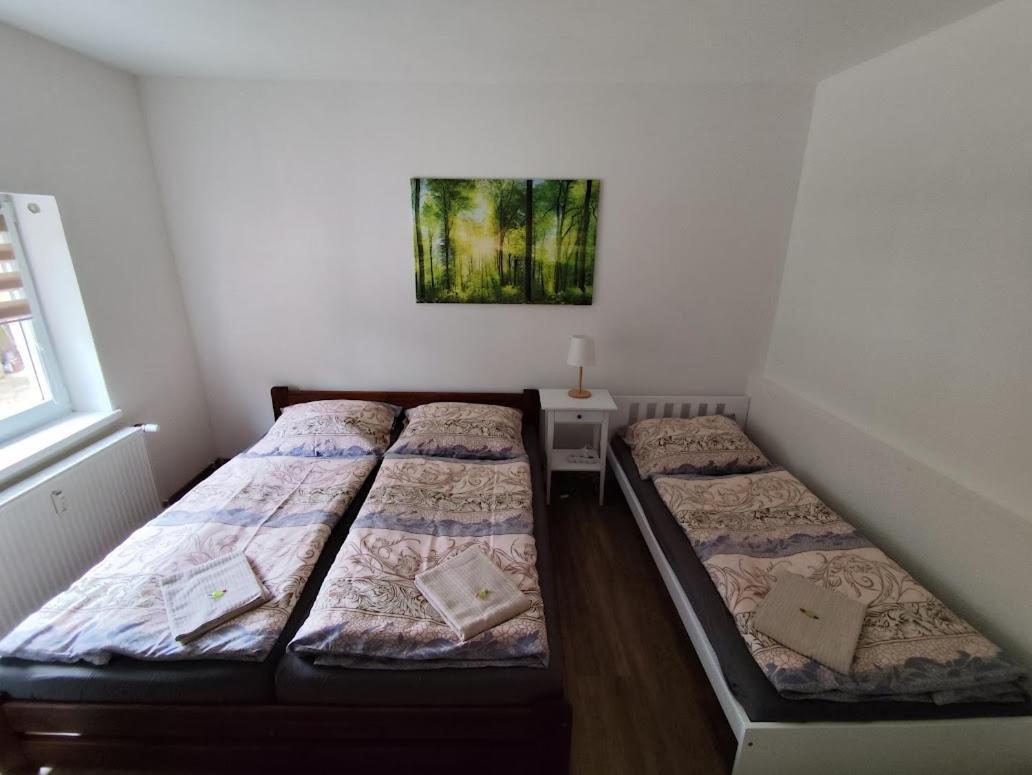 Apartman Terezka Jilove ภายนอก รูปภาพ
