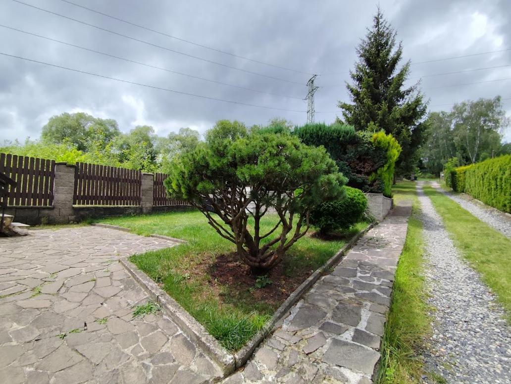 Apartman Terezka Jilove ภายนอก รูปภาพ