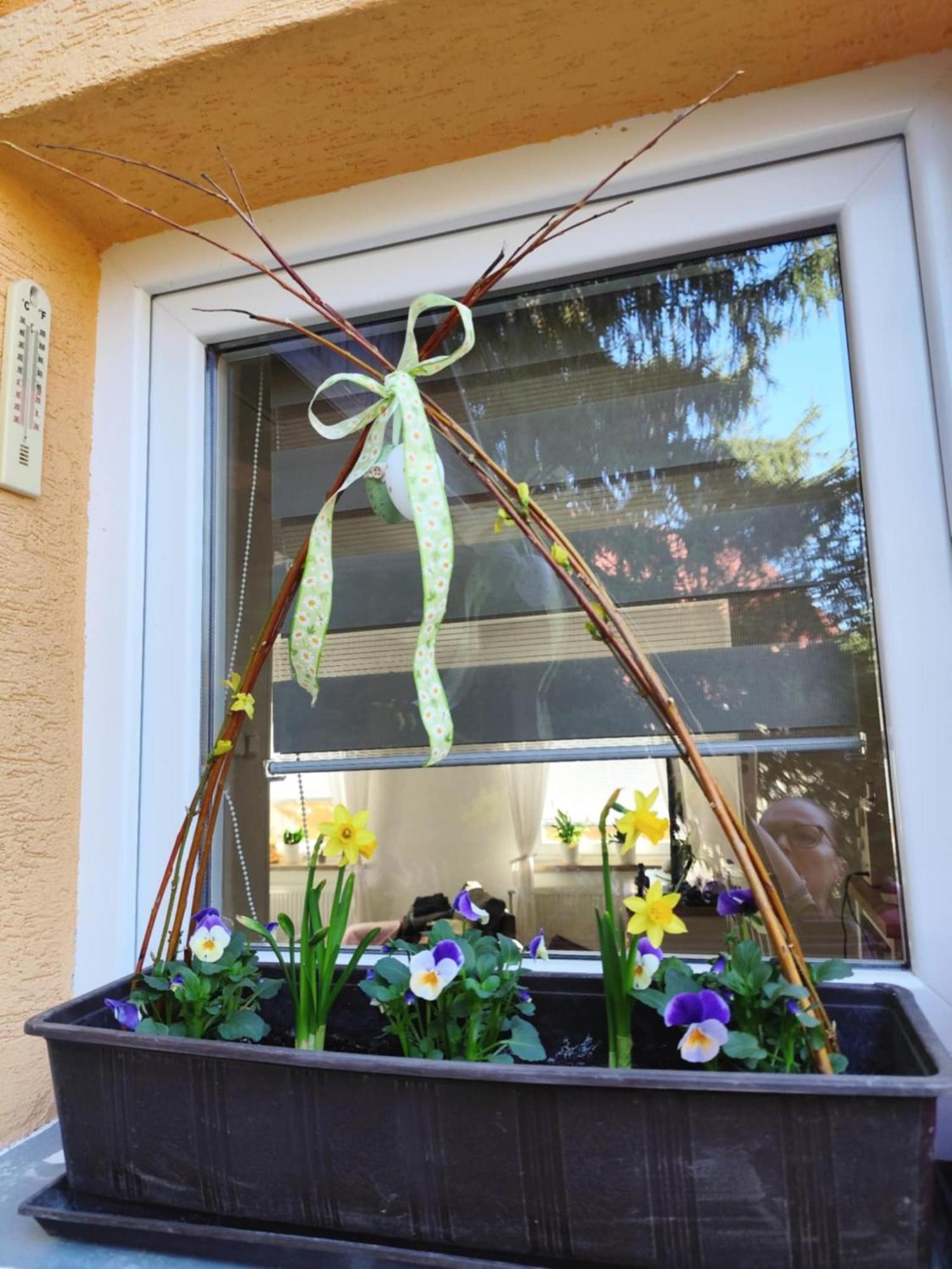 Apartman Terezka Jilove ภายนอก รูปภาพ